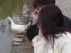 -销魂美蛙鱼头火锅(上海首店)