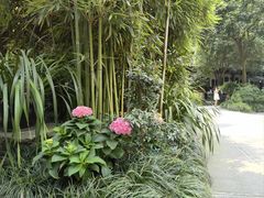 -成都杜甫草堂博物馆