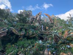 阿凡达-奥兰多迪士尼动物王国乐园