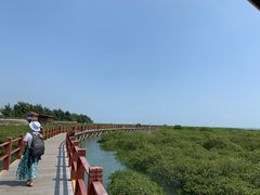 -北海金海湾红树林生态旅游区