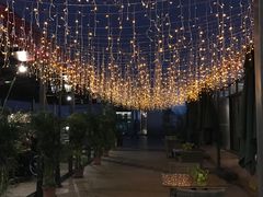 大堂-喜越泰莱·泰越料理(海逸新天地店)