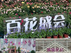 -盈香心动乐园