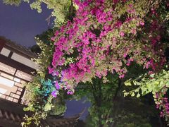 -大妙火锅·非物质文化遗产(东湖公园店)