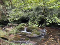 -碧峰峡风景区