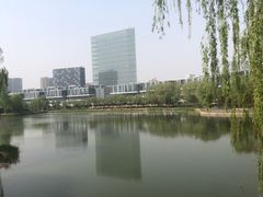 -大兴滨河森林公园