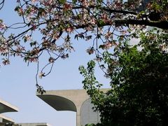-龙美术馆(西岸馆)