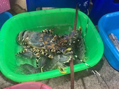 -班赞海鲜市场