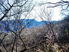 -周口店坡峰岭风景区