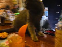 -OX BAR 拉培耶小镇(大连老街店)
