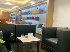 -青岛鸿发智越领克新能源中心