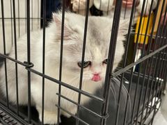 -凯德广场(武胜路店)