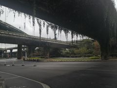 -南京眼步行桥