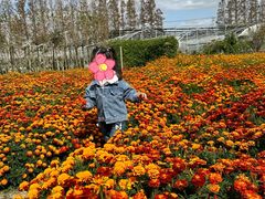 -前小桔亲子创意农场·草莓采摘·露营烧烤