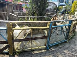 -三分地生态园·儿童乐园