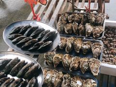 -蚝专家(北滘店)