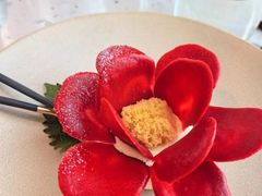 -Tomacado花厨(One ITC店)