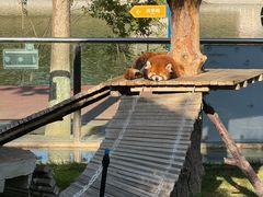 -水上乐园·欢乐世界