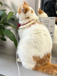 -蚂蚁造型俱乐部
