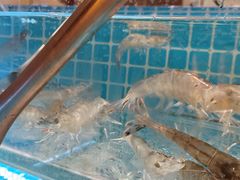 -上海神旺大酒店
