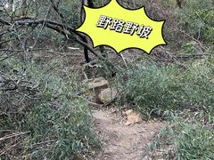 -桃花岭景区