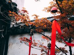 -青果巷历史文化街区