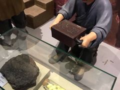 -陕西自然博物馆