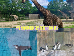 -上海野生动物园