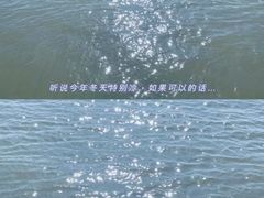 -长洲岛