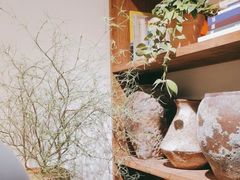 -自由生长植物工作室(深港花卉中心店)