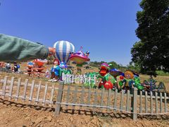 -大塘金香草谷