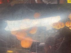 -惠源面包店(开禾路店)