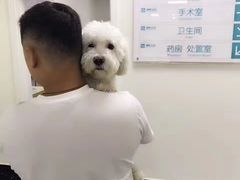 -美联众合爱康动物医院•复杂内科•肿瘤科•牙科•腔镜诊疗中心