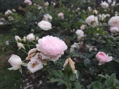 -人民公园(罗湖区)