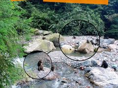 -西岭雪山大飞水景区