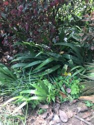 -P.STYLE派斯造型