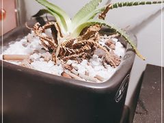 -抚琴第一烤(抚琴地铁站A口店)