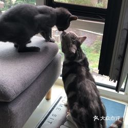 便宜小型犬推荐 rbsRYxTOuf5-crC8d080pDDtZkDCBVNMI57byYdIqd28QDOfHvr0HFPbgU8uhSebuzFvxlbkWx5uwqY2qcjixFEuLYk00OmSS1IdNpm8K8sG4JN9RIm2mTKcbLtc2o2vfCF2ubeXzk49OsGrXt_KYDCngOyCwZK-s3fqawWswzk.jpg