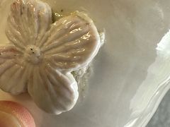 -初八专业级手工DIY陶艺社·户外研学·创意DIY首饰