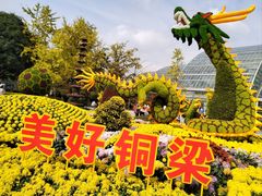 -南山植物园