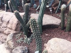 -南通洲际绿博园