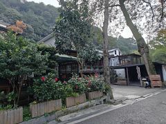 -龙井村