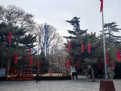 -团结湖公园