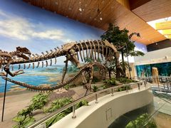 -延庆地质公园博物馆