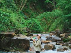 -广州白江湖森林公园