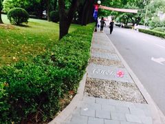 -上海交通大学医学院附属瑞金医院(总院)