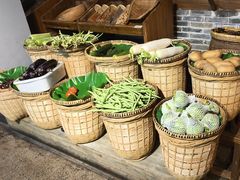 -印象鲵宴·张家界地标美食名片(溪布街店)