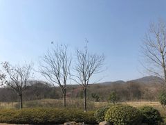 -南京市江宁方山