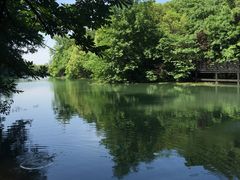 -白马涧龙池景区