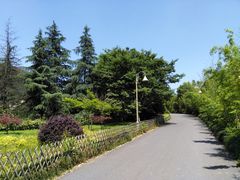 -良渚文化村