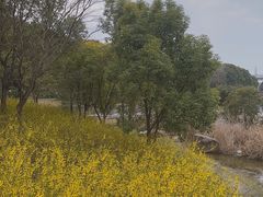 -美兰湖景区